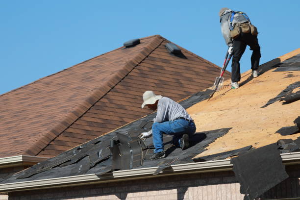Best Roof Leak Repair  in Tyler, MN
