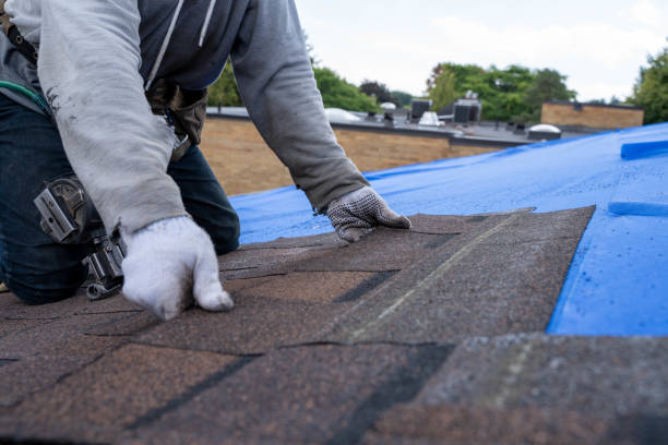 Best Chimney Flashing Repair  in Tyler, MN