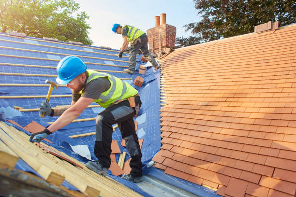 Best Skylight Installation and Repair  in Tyler, MN